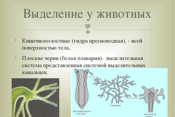 Через какой браузер зайти на кракен